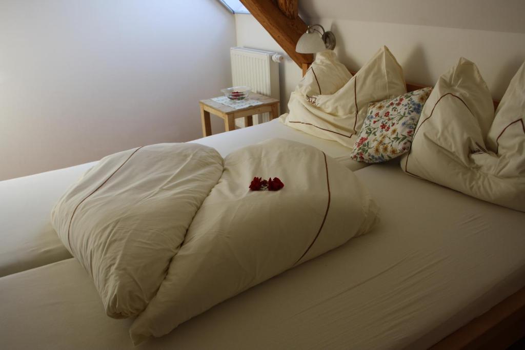 Buchgrabenhof Apartment Windisch Minihof Bilik gambar