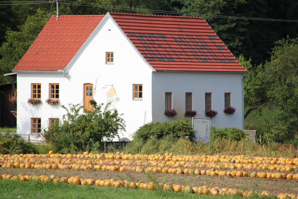 Buchgrabenhof Apartment Windisch Minihof Luaran gambar
